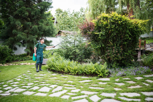Best Lawn Drainage Solutions  in Innotion, VA