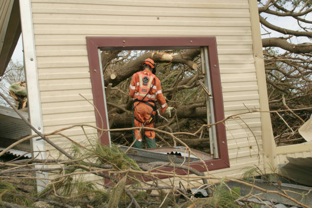Best Hazardous Tree Removal  in Innotion, VA
