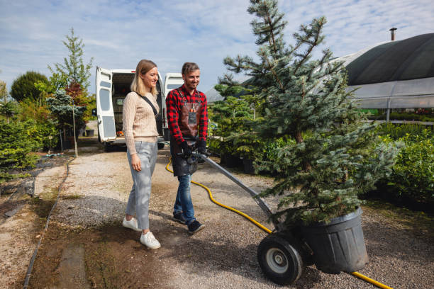 Best Tree Preservation Services  in Innotion, VA